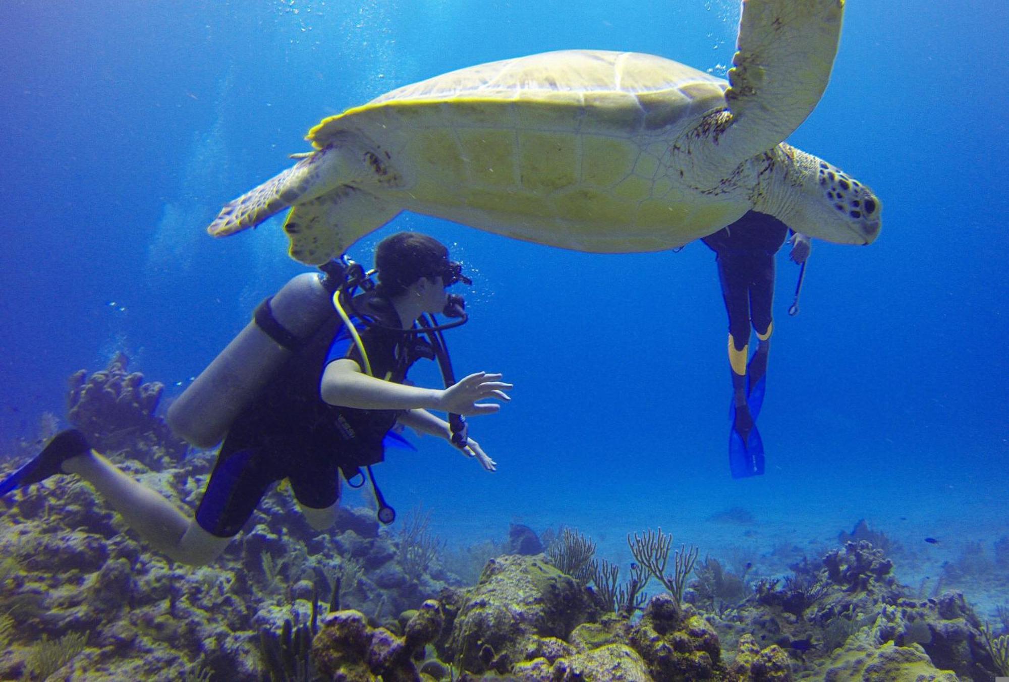 Roxon Red Sea Eilat - Adults Only Hotell Eksteriør bilde
